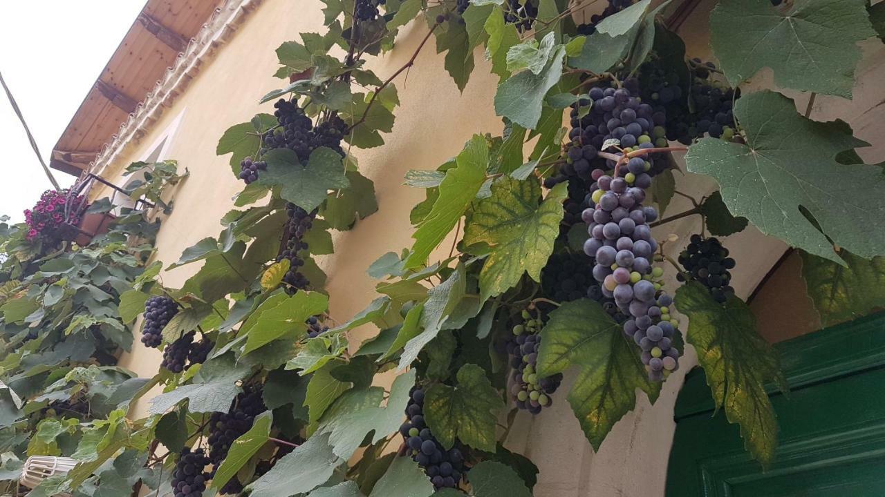 Vila Scaccia Pensieri Cerchio Exteriér fotografie